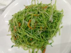 虫草花炒碧绿苗-御彩酒家(东风东路店)