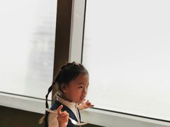 -The lounge 柏悦酒店大堂酒廊(上海环球金融中心店)