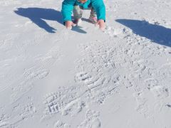 -绿野森林乐园冰雪季