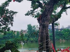 -恩阳古镇