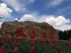 -长春公园(普阳街道)