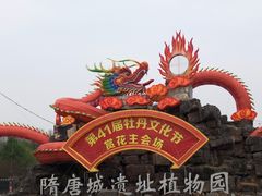 -洛阳市隋唐城遗址植物园