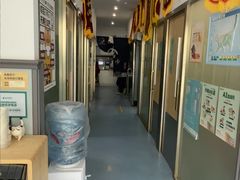 -伟伟宠物医院·瑞派猫友好医院·猫科(光谷店)