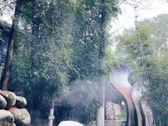 -三江森林温泉度假区