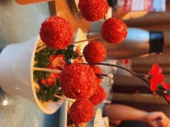 -椿记烧鹅(叠彩店)