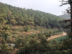 -九龙潭景区