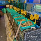 🍜鼓浪屿海鲜私房菜！鲜到跺脚求加单！