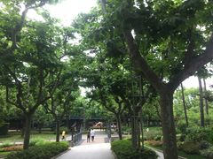 -徐家汇公园