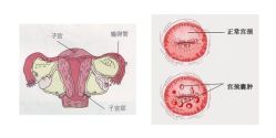 -邢台妇产医院