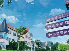 -大塘金香草谷