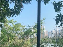 -五缘湾湿地公园
