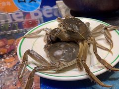 -亚马逊海鲜自助(梅溪湖步步高店)