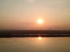 -大湾区中央湿地公园-十九涌