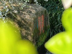 -中国茶叶博物馆(双峰馆区)