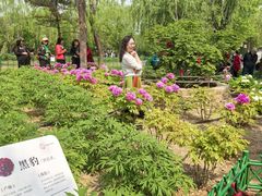 -太阳宫公园