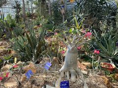 -国家植物园南园