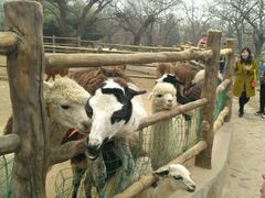 -西安秦岭野生动物园