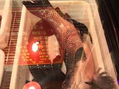 -李记铸铁锅炖鱼(长江中路店)