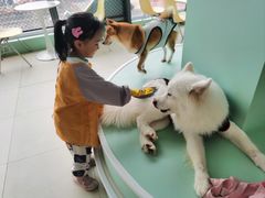 -怪兽屋·羊驼·猫咖·狗咖(俊华广场店)