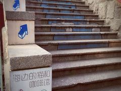 -海边的猫和咖啡馆