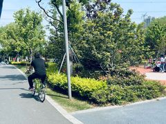 -昆山城市生态森林公园