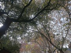 -鼓楼(西湖风景名胜区)