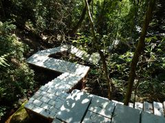 -海南热带雨林国家公园吊罗山景区
