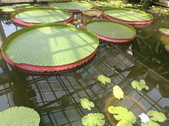 -国家植物园南园