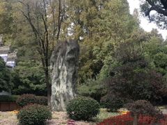 -习家池