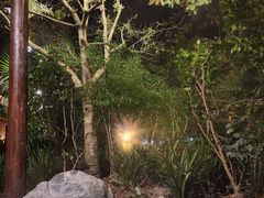 -青城道汤池