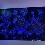 阿雅个展！白夜神话！西安美术馆五一太给力啦！