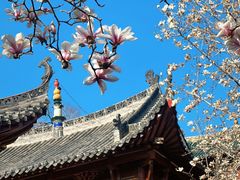 -长春观