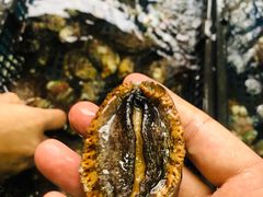 -板桥海鲜广场(文明东店)