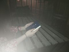 -二楼南书房