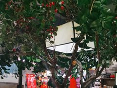 -山芋腔苏北菜(盐城滨海店)