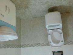 -金山农民画村-枫泾波兰倒置屋