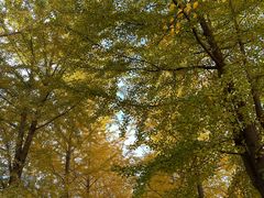 -辽宁大学(崇山校区)