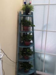 点击看大图 -薇兰专业脱毛连锁机构