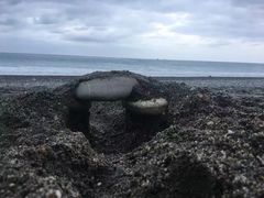 -七星潭蓝天广场