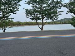 -羊山湖公园