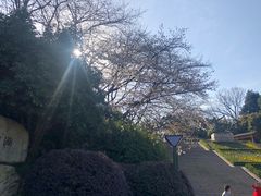 -杭州少年儿童公园