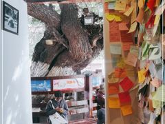 -古树酸奶(八廓南街店)