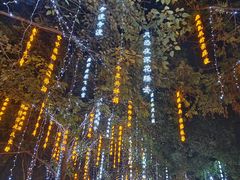 -新荣记(西溪湿地店)