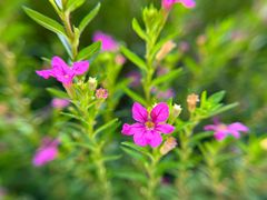 -杭州城北体育公园