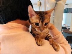 -Me Coffee下午茶艺术空间