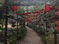 -北海金海湾红树林生态旅游区