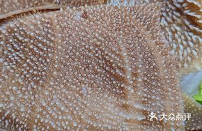 Fresh Large-Leaf Tripe