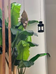 -芳朵美容养生SPA