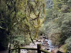 -西岭雪山大飞水景区