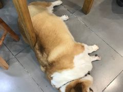 -阿木舂记·特色小吃(平江路店)